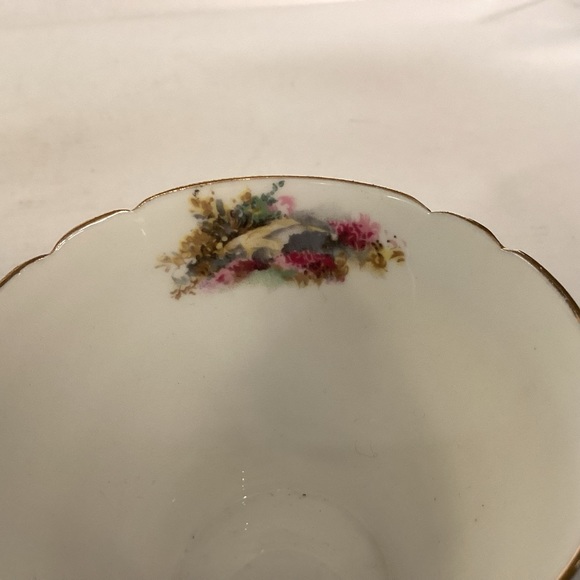 Shelley bone china cup and saucer,England - Picture 9 of 9